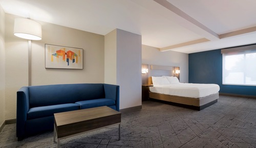 Suite, 1 King Bed with Sofa bed