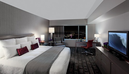 Standard Room, 1 King Bed, Accessible (Roll In Shower)
