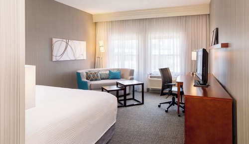 Room, 1 King Bed with Sofa bed
