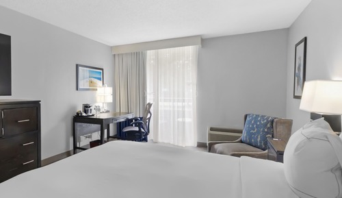 Room, 1 King Bed (with Sofa, Shower Only)