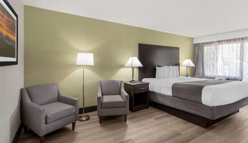 Standard Room, 1 King Bed, Non Smoking, Refrigerator & Microwave