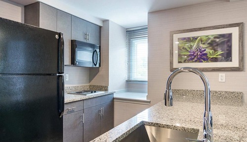 Premier Suite, 1 King Bed with Sofa bed, Non Smoking, Kitchenette (Efficiency)
