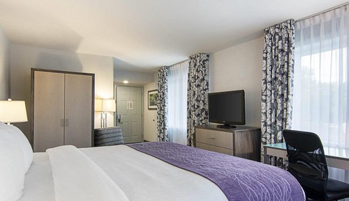Room, 1 King Bed, Accessible, Non Smoking