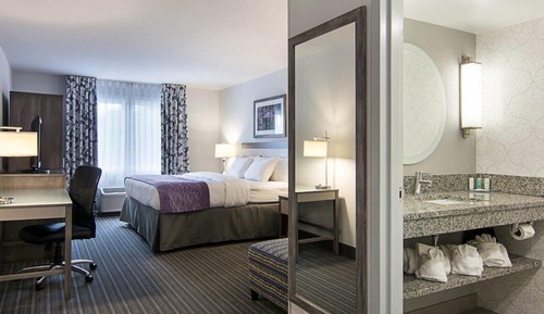 Room, 1 King Bed, Non Smoking