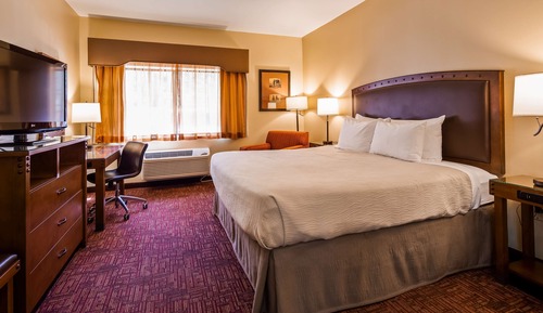 Standard Room, 1 King Bed, Non Smoking, Refrigerator (Pet Friendly)