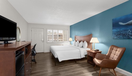 Deluxe Room, 1 King Bed, Mobility Accessible, Non Smoking (Bathtub w/Grab Bars)