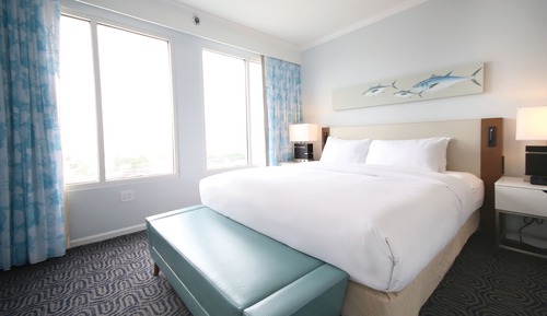 Basic Room, 1 King Bed, Accessible, Bay View (Mobility & Hearing, Roll-in Shower)
