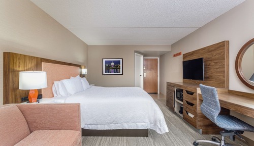 Room, 1 King Bed with Sofa bed