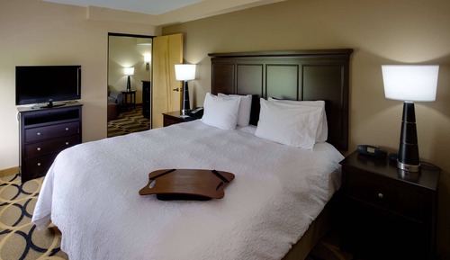 Suite, 1 King Bed with Sofa bed
