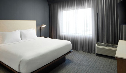 Suite, 1 King Bed with Sofa bed