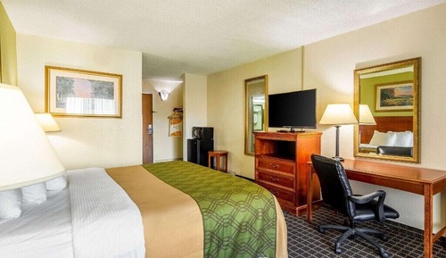 Standard Room, 1 King Bed, Patio