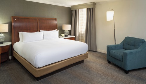 Suite, 1 King Bed