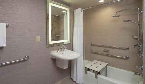 Room, Accessible, Bathtub