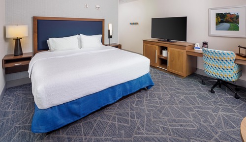 Room, 1 King Bed, Non Smoking, Refrigerator