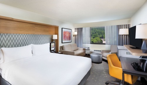 Standard Room, 1 King Bed, Accessible (Mobility Roll-In Shower)