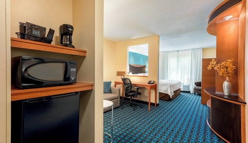 Studio, 1 King Bed with Sofa bed, Hearing Accessible (Accessible Bathtub)