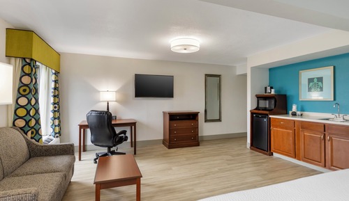 Executive Room, 1 King Bed, Non Smoking, Jetted Tub (with Sofabed)