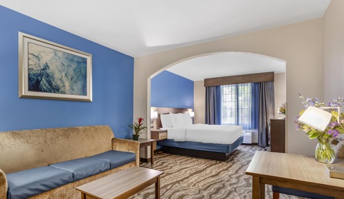 Suite, 1 King Bed, Jetted Tub, River View (with Sofabed)