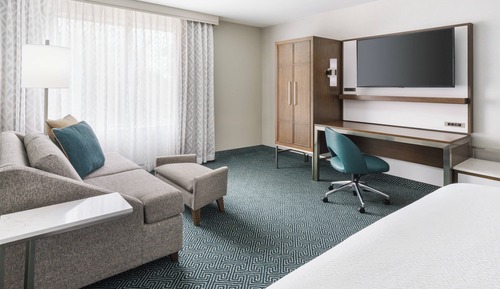 Room, 1 King Bed with Sofa bed