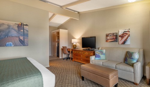 Room, 1 King Bed, Non Smoking, Jetted Tub
