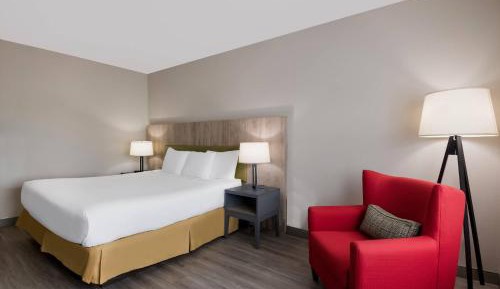 One-Bedroom King Suite
