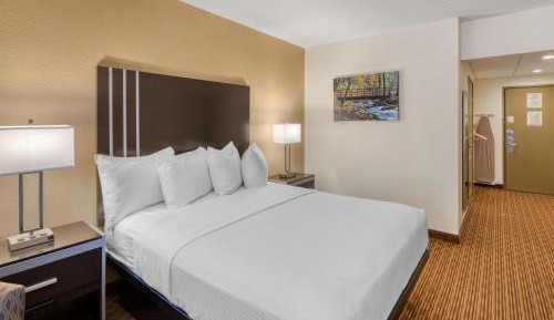 Queen Room with Roll-In Shower - Mobility Accessible/Non-Smoking