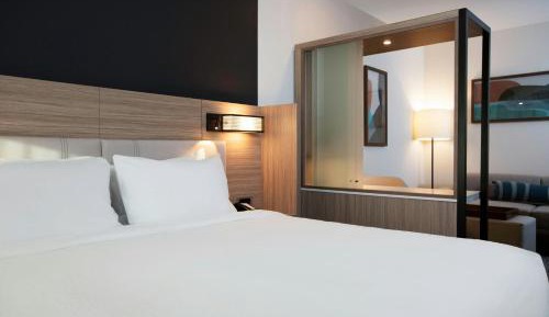 King Suite with Sofa Bed - Hearing Accessible/Limited View