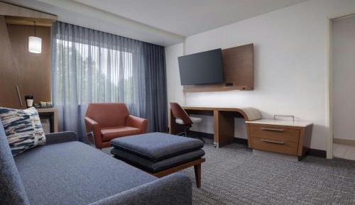 One-Bedroom King Suite with Sofa Bed