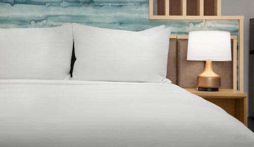 King Studio with Sofa Bed