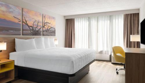 King Room with Roll-in Shower - Mobility Access/Non-Smoking