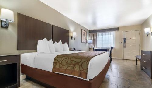 King Room with Roll-In Shower - Mobility Accessible/First Floor