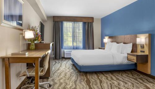 King Room with Roll-In Shower - Disability Access