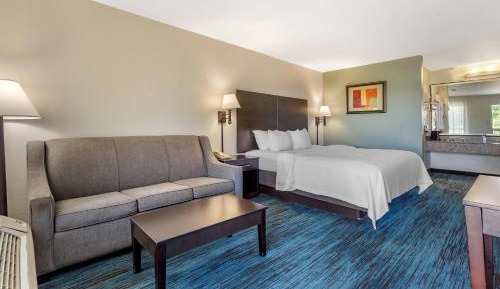 King Room - Pet Friendly/Non-Smoking