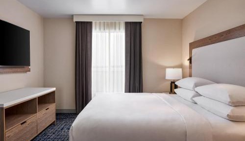 Executive Suite, 1 King, Sofa bed