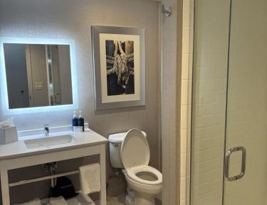 Queen Suite with Sofa Bed