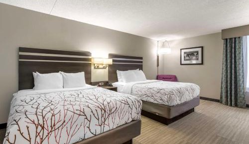 Large Queen Room with Two Queen Beds - Non-Smoking