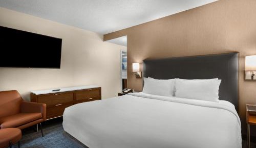 One-Bedroom King Suite with Sofa Bed