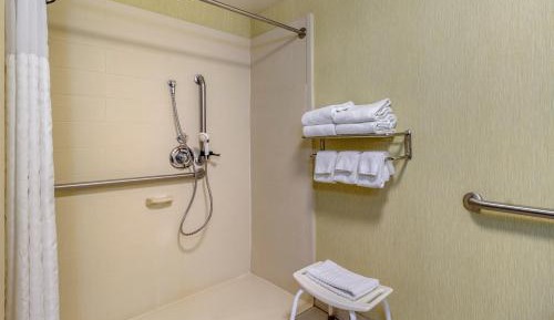 King Suite with Roll-In Shower - Accessible/Non-Smoking